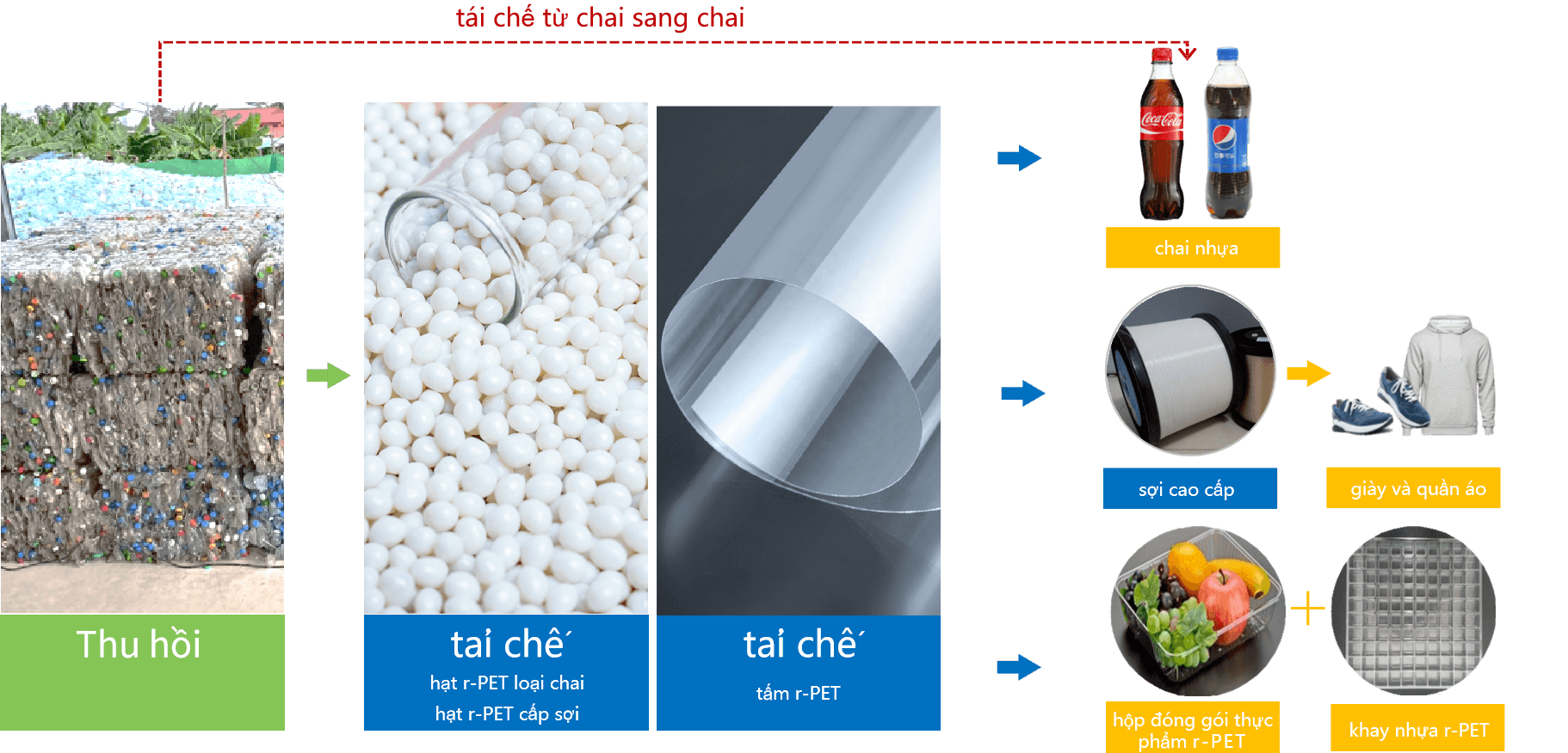 Mô hình tuần hoàn PET